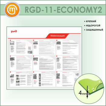   (RGD-11-ECONOMY2)